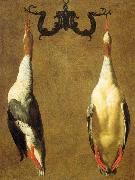 Dandini, Cesare Two Hanged Teals oil painting